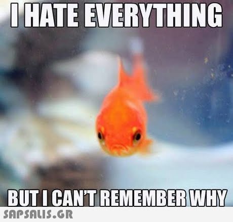 IHATE EVERYTHING BUTI CANT REMEMBERWHY 