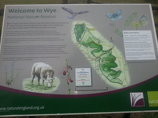 Wye Nature Reserve Walks