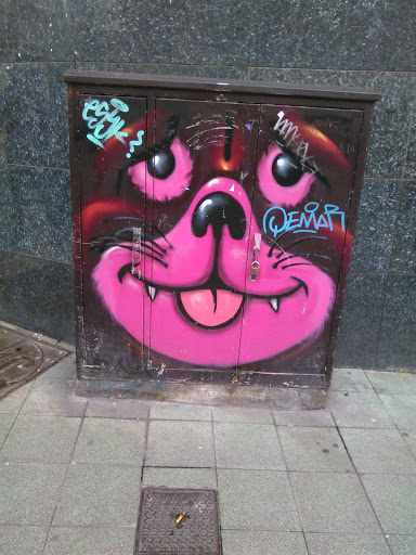 Arte En La Calle. El Gato