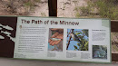 The Path Of The Minnow
