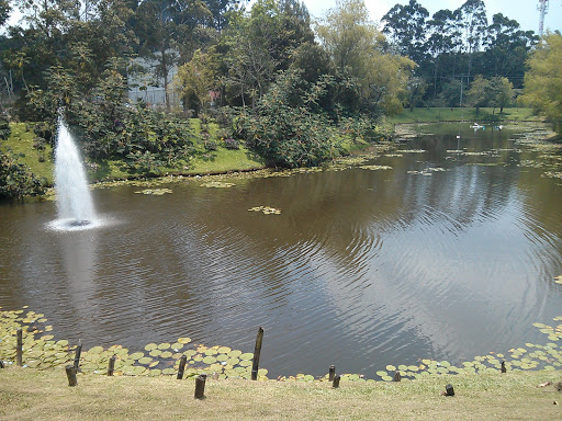 Lago Zona Franca