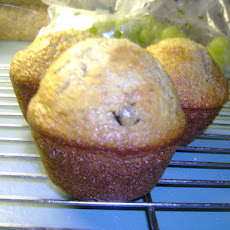A Pail in the Fridge 6 Week Bran Muffins