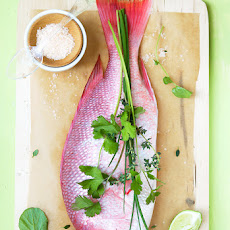 Red snapper with fennel