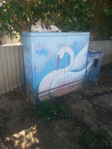 Swan Street Art