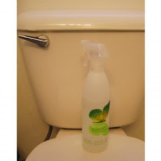 Environmentally Friendly Toilet Disinfectant