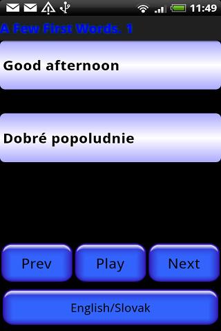 Pocket Polyglot Slovak