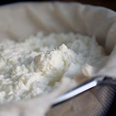 Homemade Ricotta Cheese