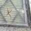 Unknown spotting