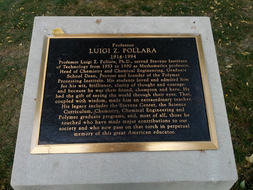 In Memory of Dr. Luigi Z. Pollara