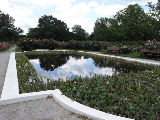 Rose Garden Pond