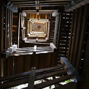 by Sandra Cannon - Buildings & Architecture Other Interior
