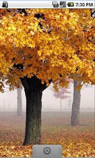 How to download Autumn Live Wallpaper 1.1 mod apk for pc