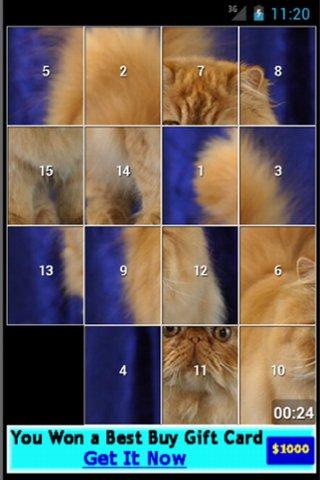 Persian Cat Puzzles
