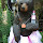 Tulip the bear