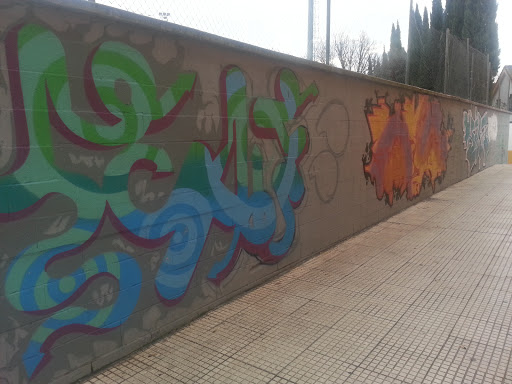 Callejon Grafitero