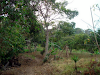 18000 Mt2 Lot In Escazu $1170000