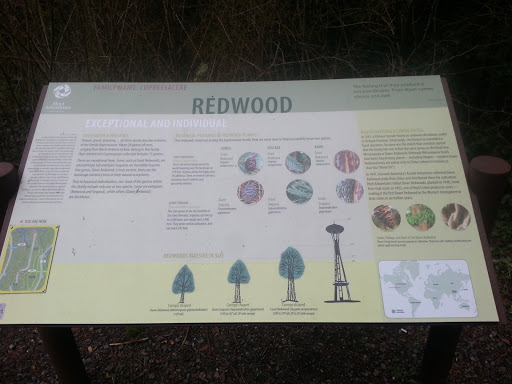 Redwood Tree Information Station