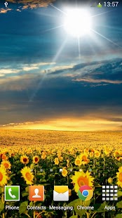 How to download Sunflowers Live Wallpaper 1.3 unlimited apk for pc