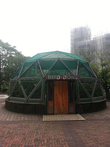 Bird Dome