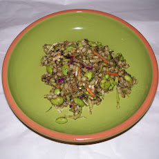 Barley with Edamame, Broccoli Slaw, and Carrot Ginger Black Sesame Paste