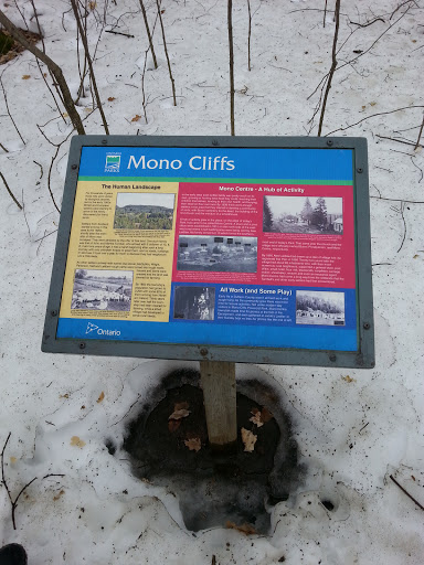 History of Mono Centre