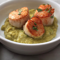 Fava Bean Purée Recipe