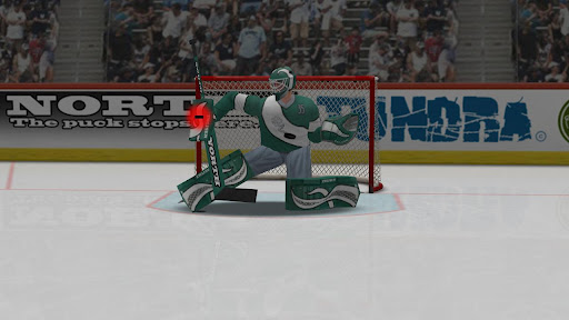 Virtual Goaltender