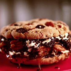 Turtle Cookie Ice Cream Sandwich