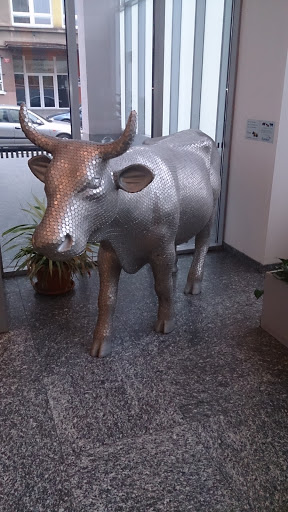 Silver Cow