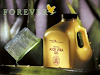 Perdida De Peso Con Forever Living Products