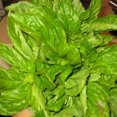 French style lemon yogurt cake with fresh basil