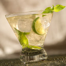 Basil Mo-tea-tos