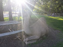 Parsippany Park Camel