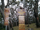 Aiea Loop Trail