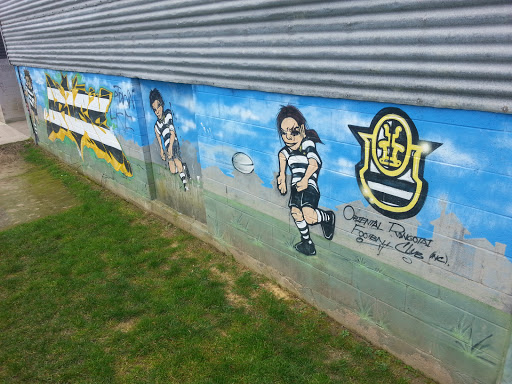 Oriental Rongotai Football Club Mural