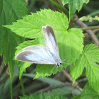 Spring azure
