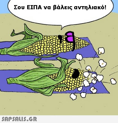 Σου ΕΙΠΑ να βάλεις αντηλιακό! 