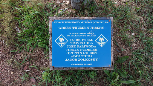 Green Thumb Nursery Dedication Maple