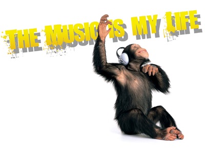 music-is-my-life music-is-my-life