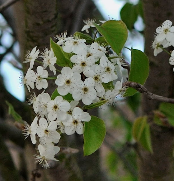 Spotting Image 1