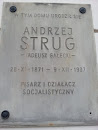 Andrzej Strug