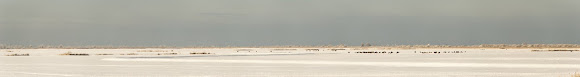 Spotting Image 1