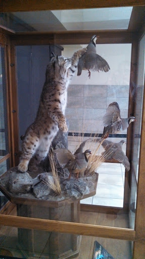 Chukar Club Wildlife Scene