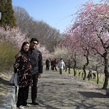 Various plum trees. Some smelled really nice!