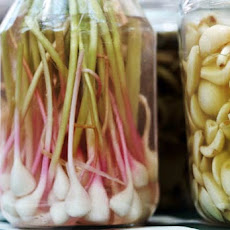 Pickled Ramps Recipe