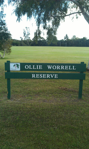Ollie Worrall 