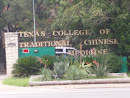 Texas College Of Traditional Chinese Medicine