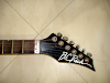 Phil Pro  24 Trastes  Floyd Rose  Escalope