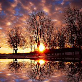 Winter Sunset by Linda Othersen - Landscapes Weather