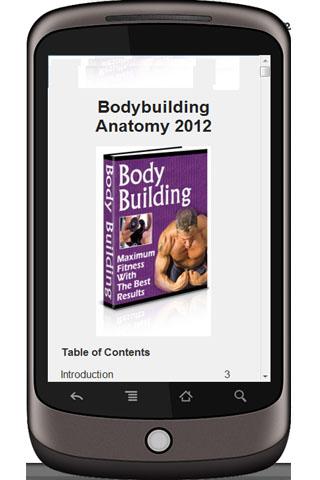 Bodybuilding Anatomy 2012